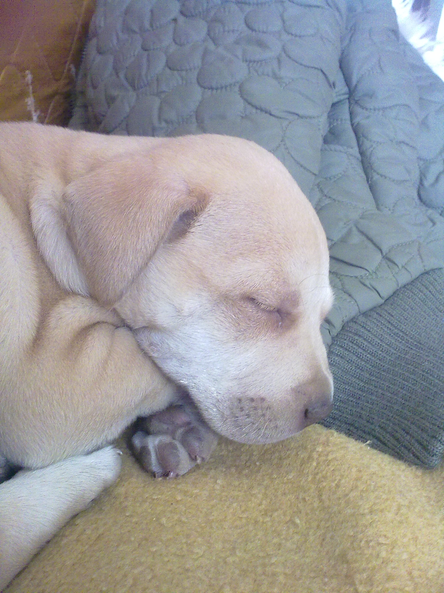 120320111158.jpg