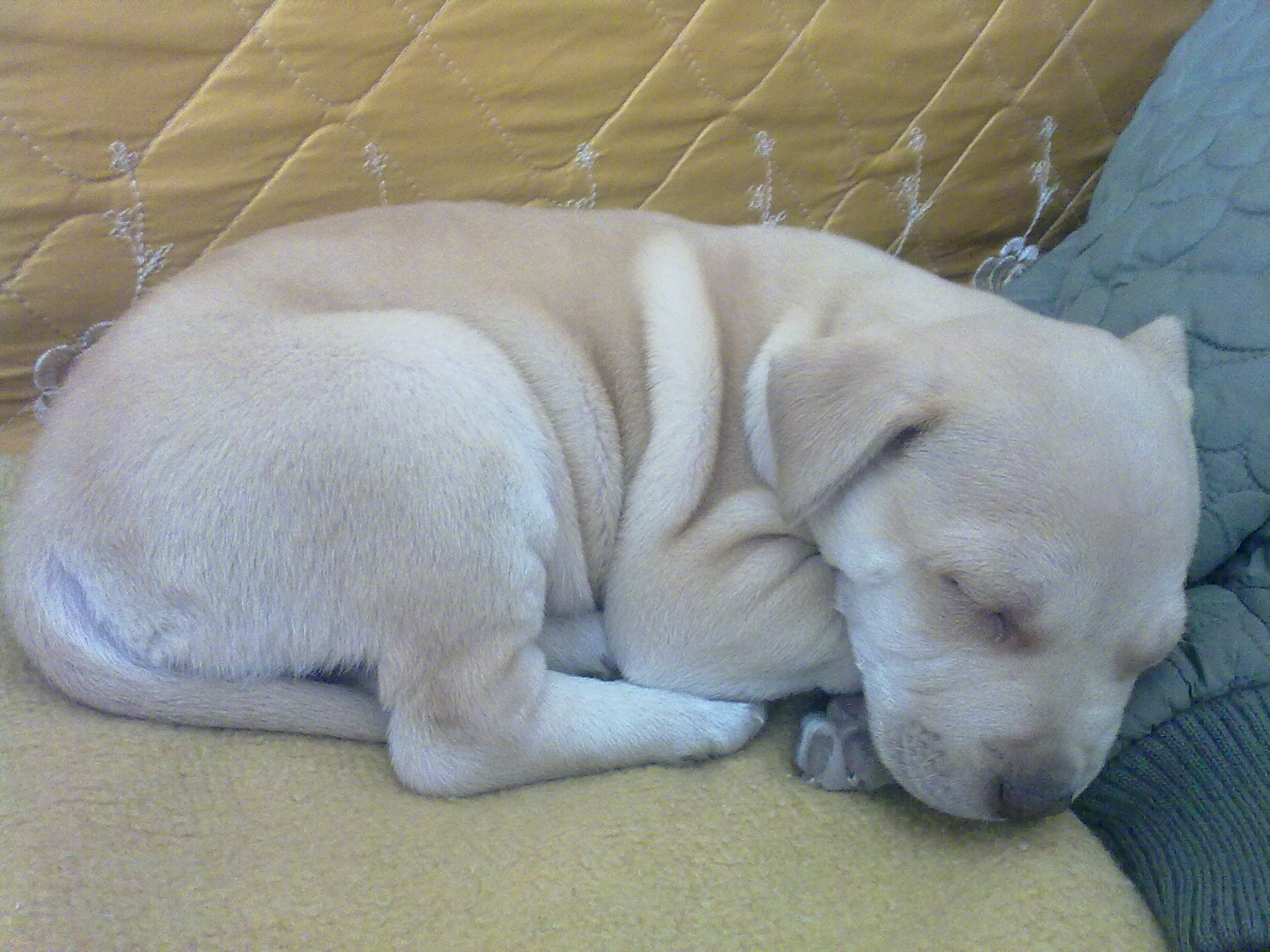 120320111159.jpg