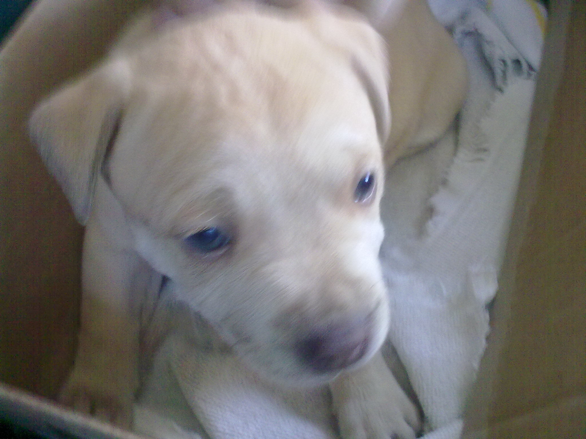 050320111129.jpg