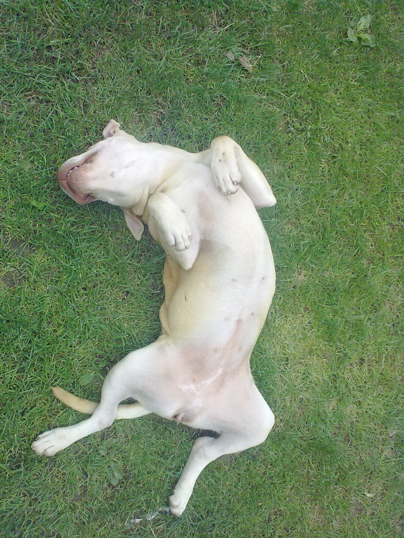220720111569.jpg