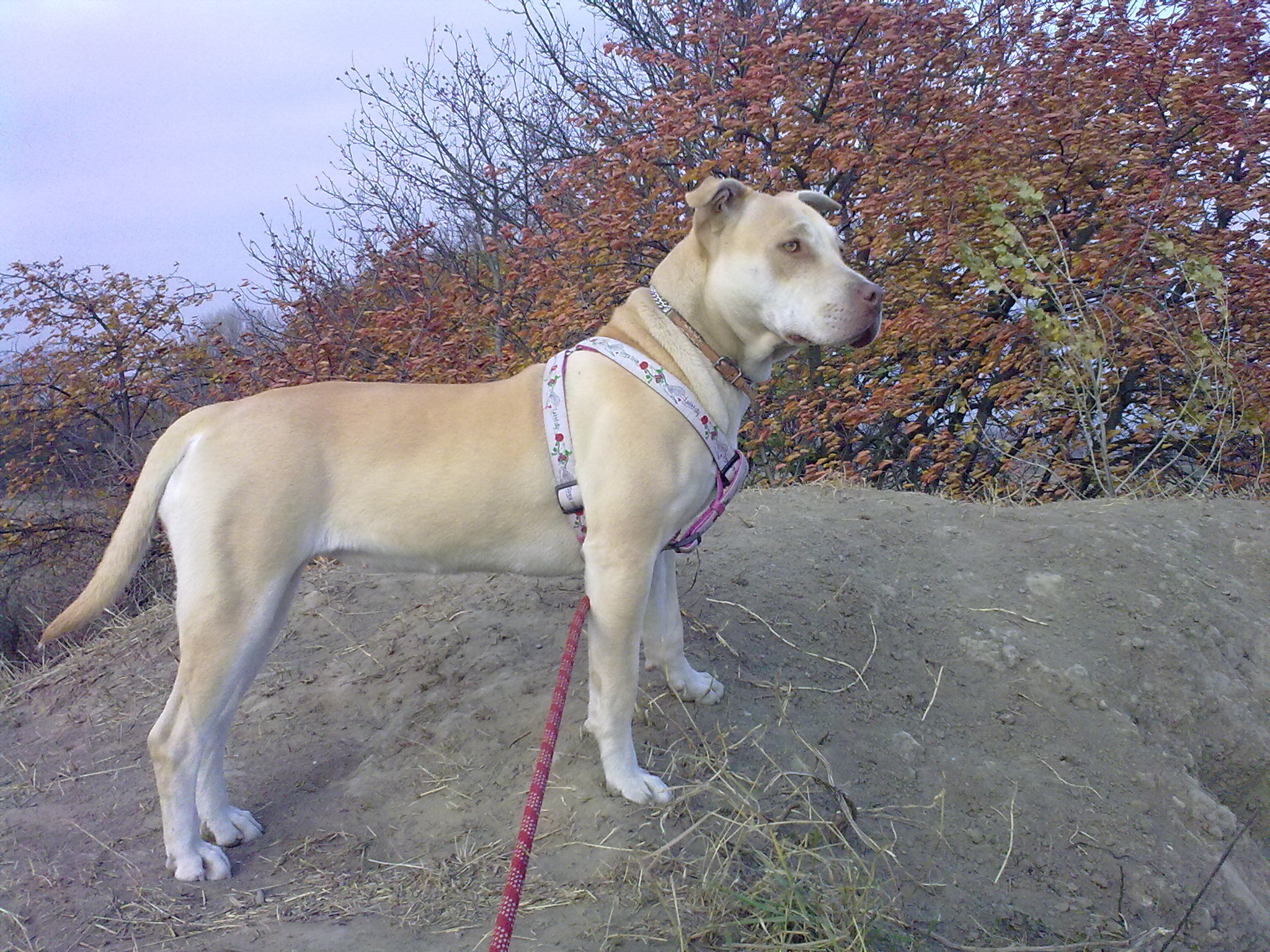 051120111907.jpg