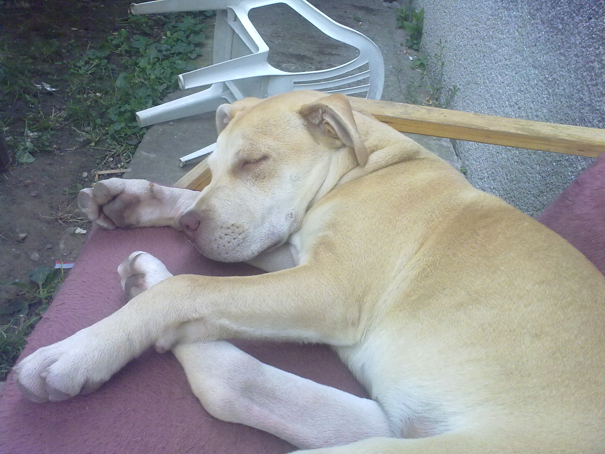 180620111515.jpg